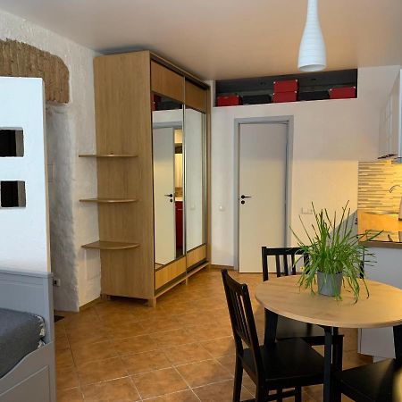 Old Studio Apartment Vilnius Kültér fotó