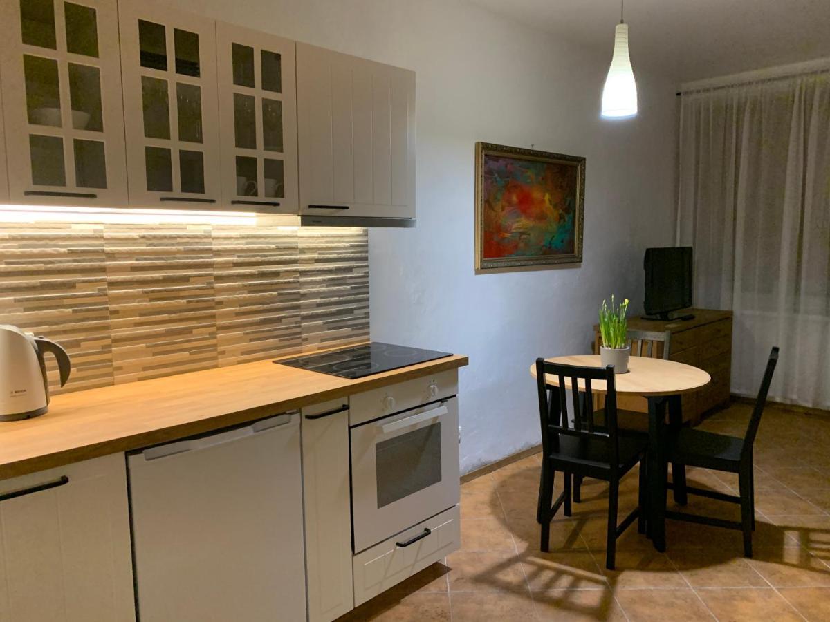 Old Studio Apartment Vilnius Kültér fotó