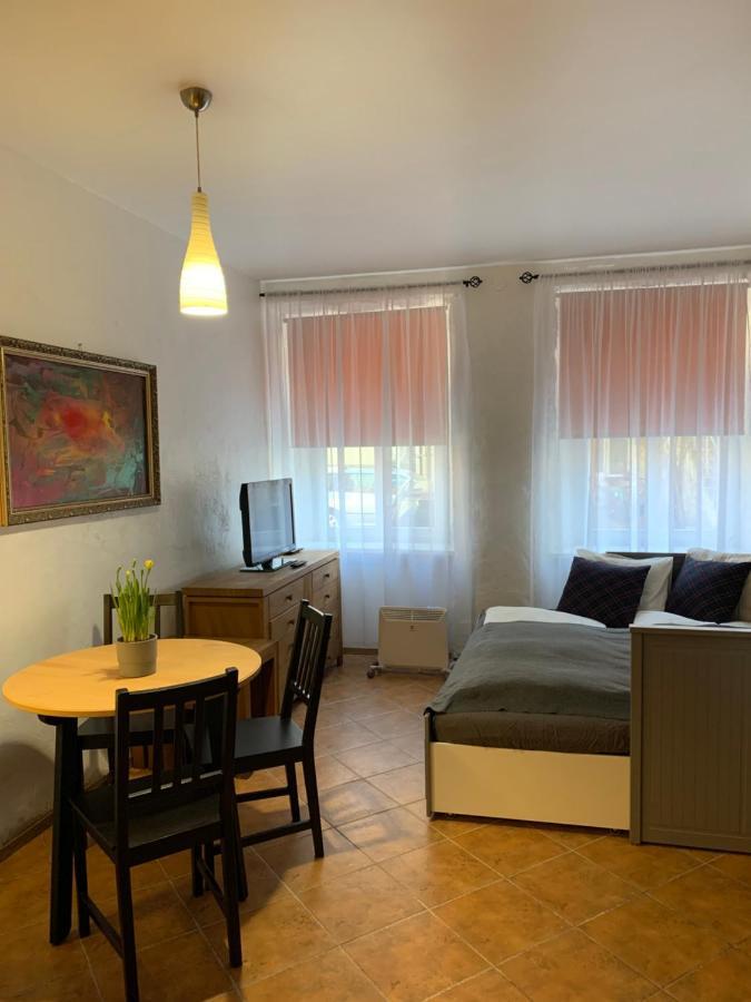 Old Studio Apartment Vilnius Kültér fotó