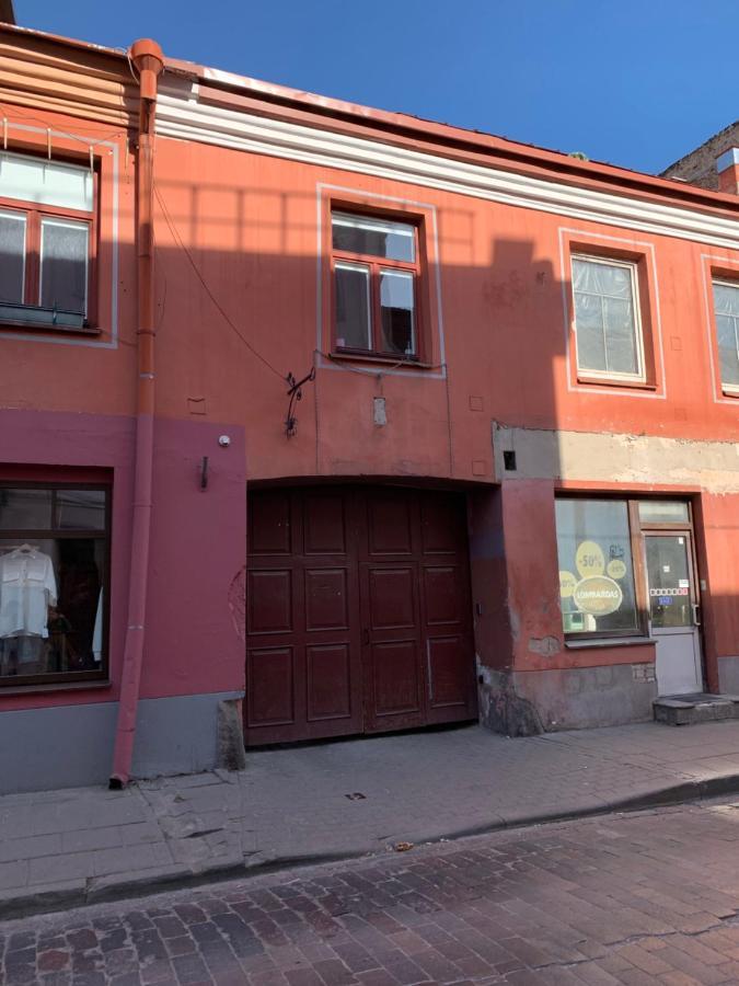 Old Studio Apartment Vilnius Kültér fotó