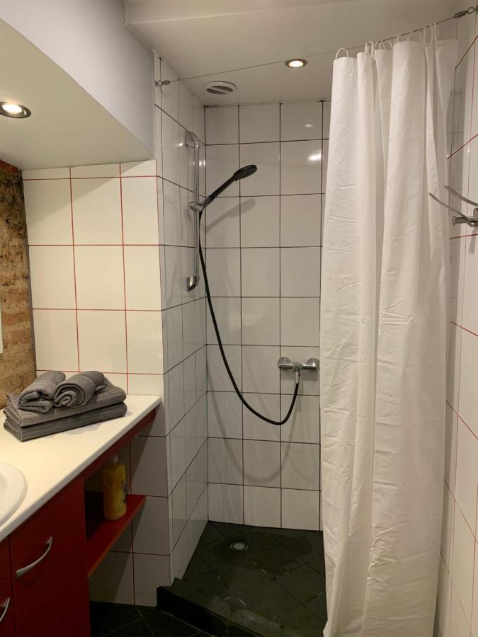 Old Studio Apartment Vilnius Kültér fotó