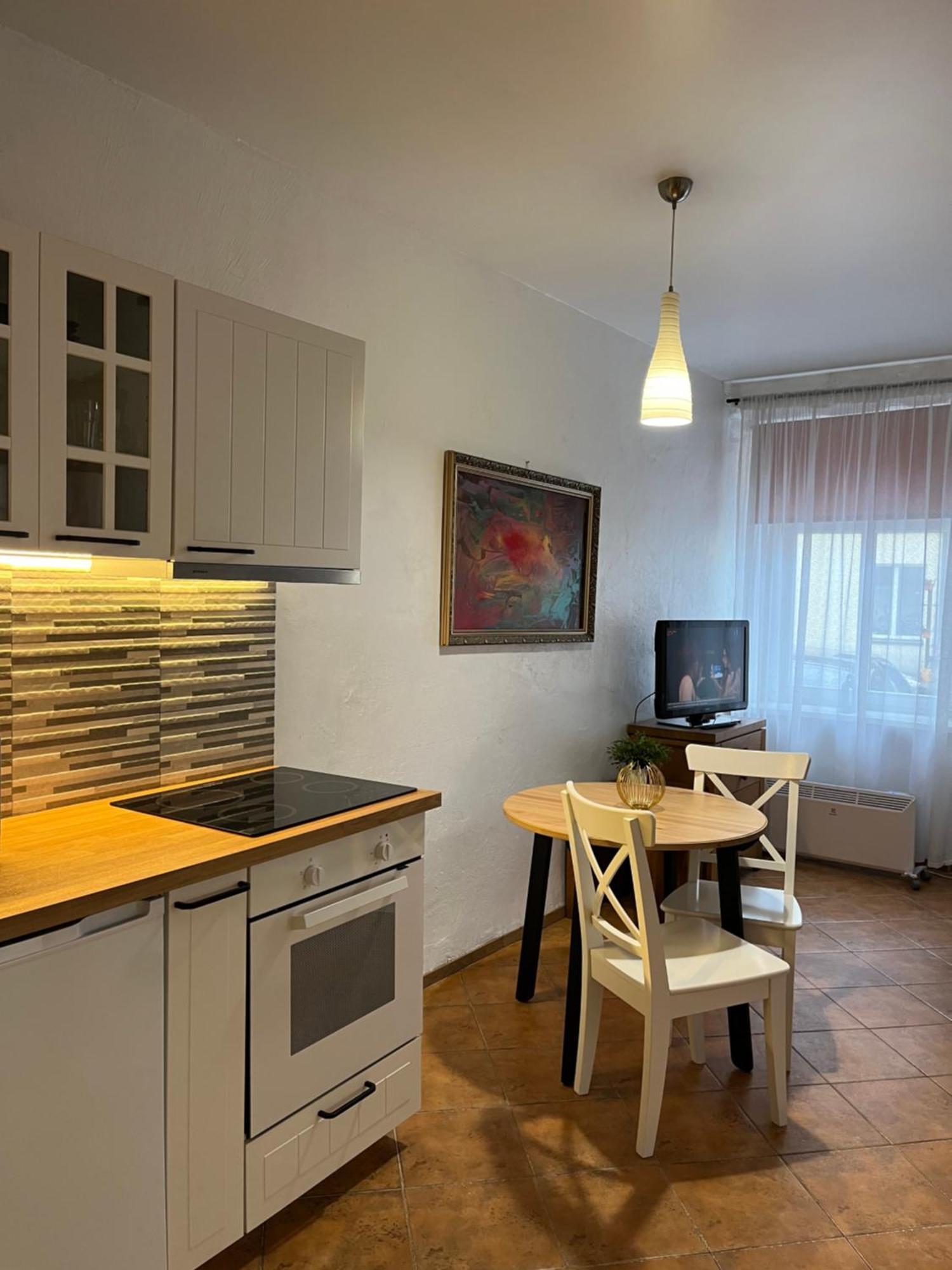 Old Studio Apartment Vilnius Kültér fotó