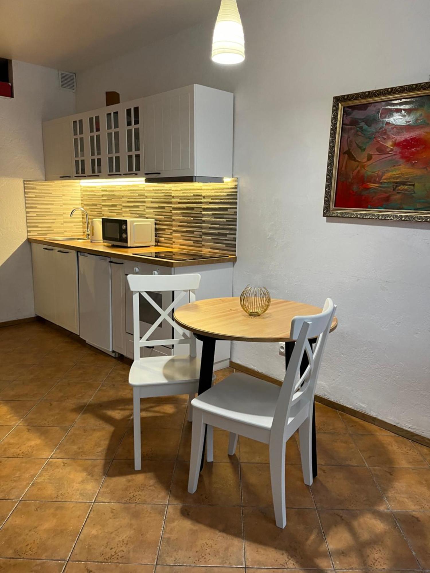 Old Studio Apartment Vilnius Kültér fotó